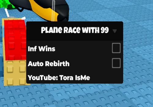 Plane Race Woth 99 1